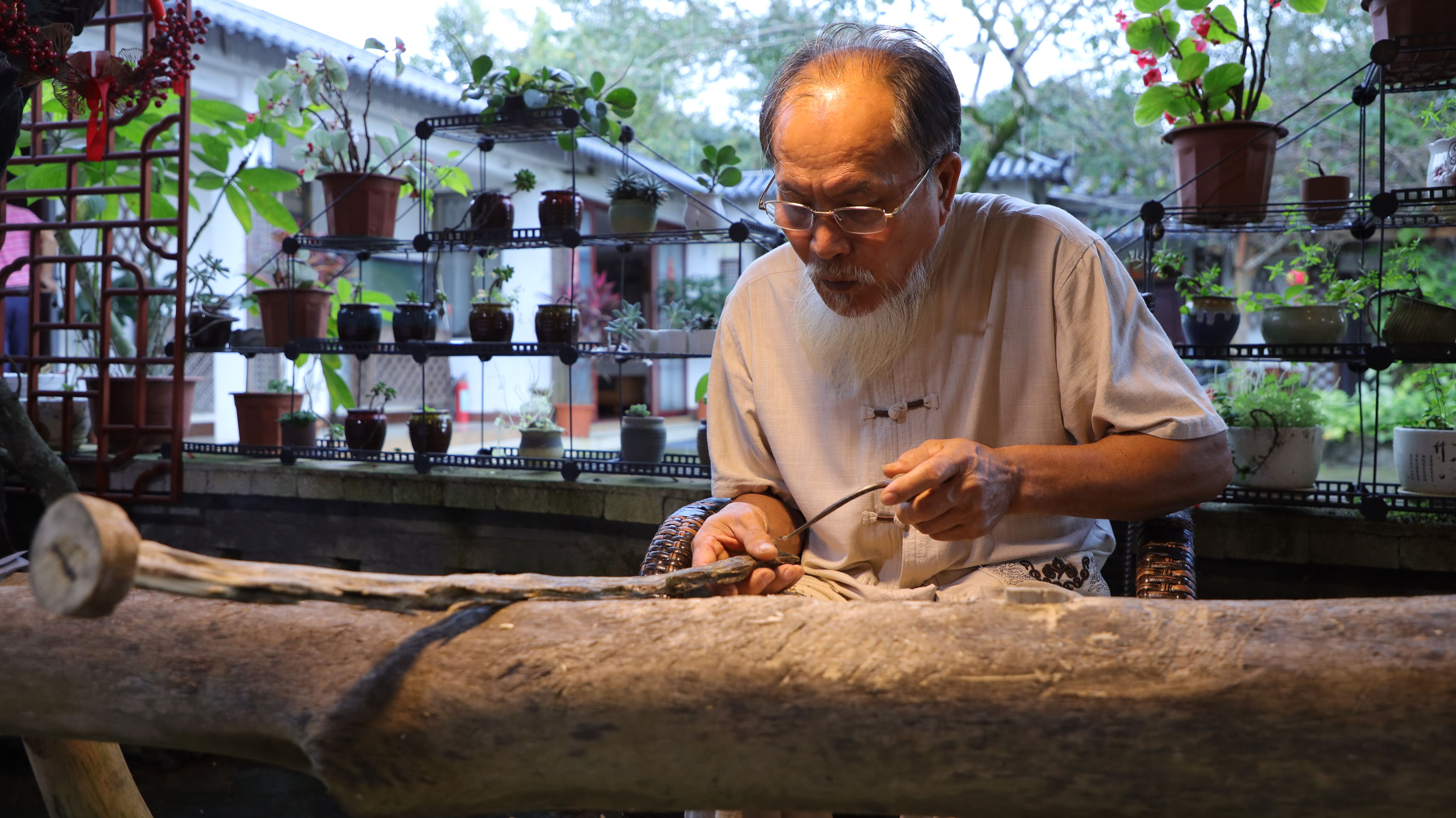 海南沉香千亿级产业正在兴起